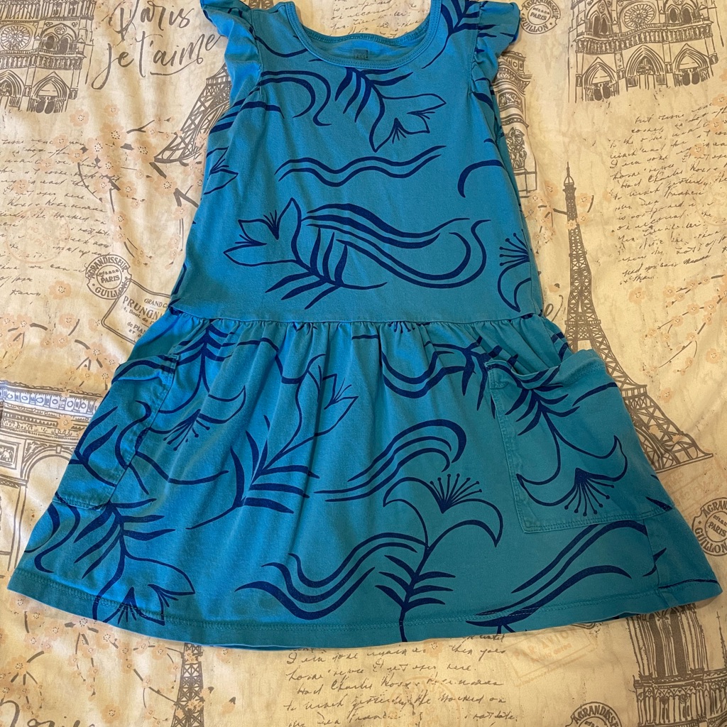 Tea Collection Blue Pottery Floral Dress Size 5